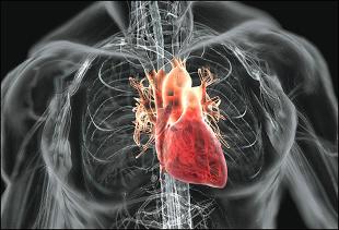 Maladies Cardio-Vasculaires